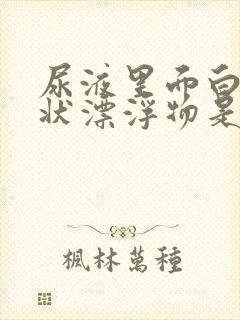 尿液里面白色絮状漂浮物是什么