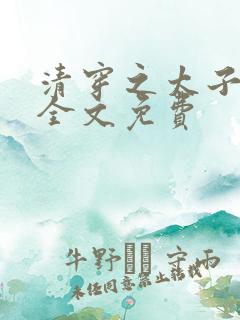 清穿之太子娇妃全文免费