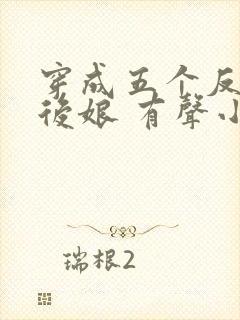 穿成五个反派的后娘 有声小说小说