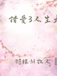 错爱3人生大事