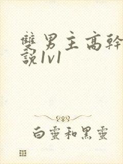 双男主高干文小说1v1