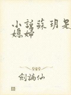 小说苏玥是我儿媳妇