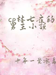cp林七夜的双男主小说
