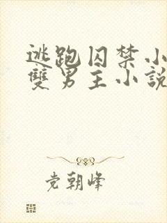 逃跑囚禁小少爷双男主小说推荐完结文