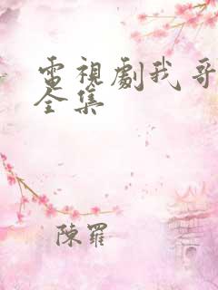 电视剧我哥我嫂全集