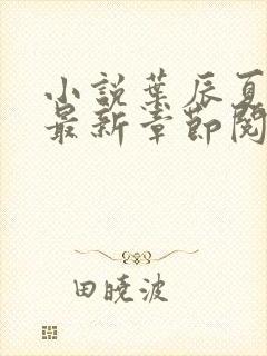 小说叶辰夏若雪最新章节阅读