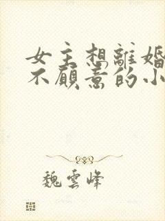 女主想离婚男主不愿意的小说