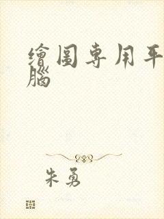 绘图专用平板电脑