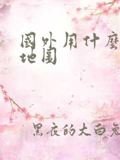 国外用什么导航地图