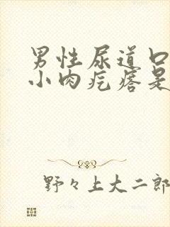 男性尿道口长个小肉疙瘩是怎么回事