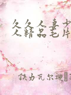 久久人妻少妇偷人精品毛片