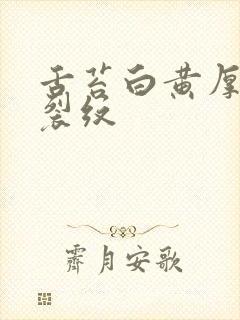 舌苔白黄厚腻有裂纹