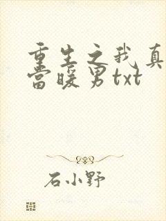 重生之我真没想当暖男txt