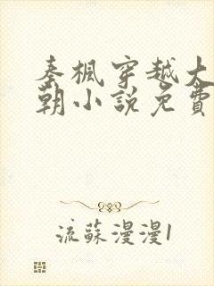 秦枫穿越大夏王朝小说免费阅读