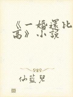 《一婚还比一婚高》小说