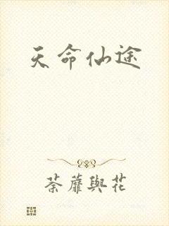 天命仙途