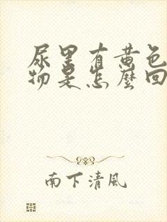 尿里有黄色沉淀物是怎么回事