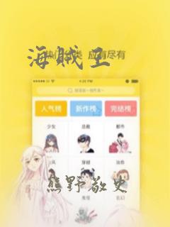 海贼王：结局+番外