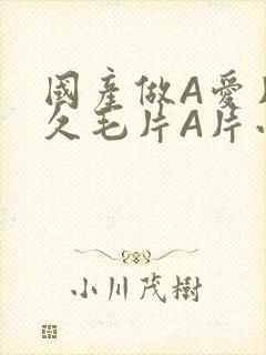 国产做A爱片久久毛片A片小说