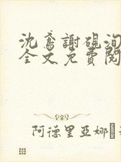 沈鸢谢砚洵小说全文免费阅读