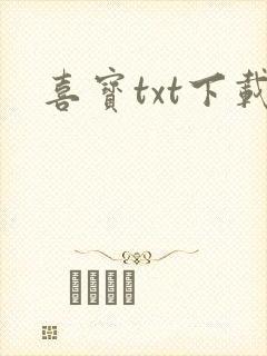 喜宝txt下载