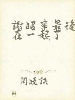 谢昭宁最后和谁在一起了