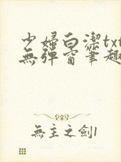 少妇白洁txt无弹窗笔趣阁