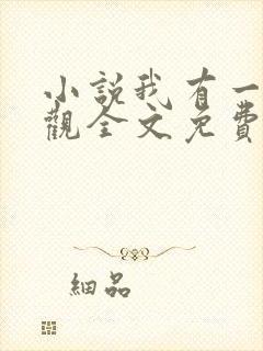 小说我有一剑叶观全文免费阅读