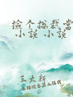 捡个总裁当老婆 小说 小说