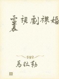 电视剧裸婚演员表