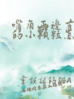 嘴角两边有白色的小颗粒怎么办