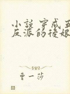 小说 穿成五个反派的后娘