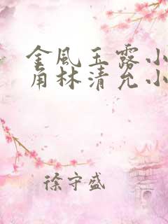 金风玉露小说主角林清允小诚