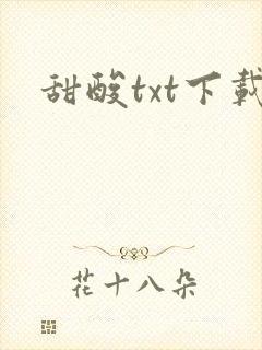 甜酸txt下载