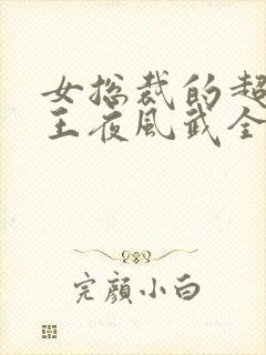 女总裁的超级兵王夜风武全集
