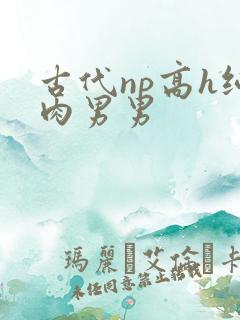 古代np高h纯肉男男