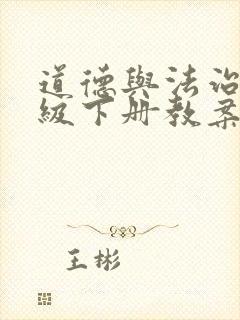 道德与法治八年级下册教案人教版