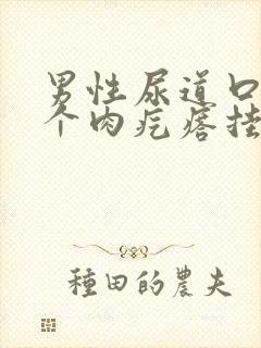 男性尿道口长了个肉疙瘩挂什么科