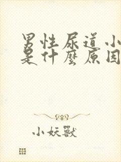 男性尿道小水泡是什么原因