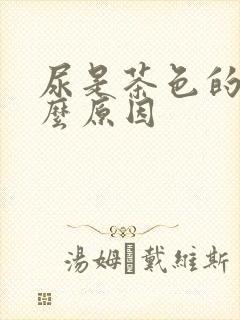 尿是茶色的是什么原因