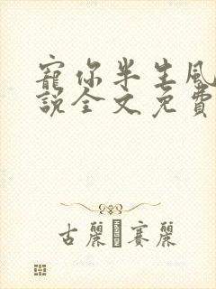 宠你半生风情小说全文免费阅读