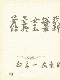 萧晨女总裁的全能兵王最新