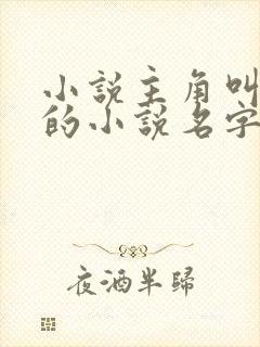 小说主角叫叶枫的小说名字