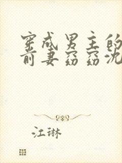 穿成男主的炮灰前妻窈窈沈阶完结