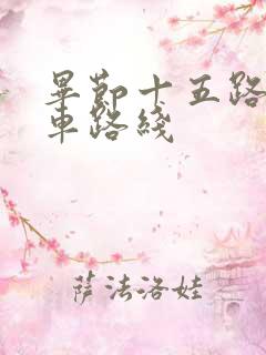 毕节十五路公交车路线