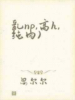 乱np,高h,纯肉)