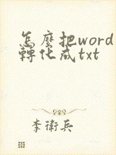怎么把word转化成txt