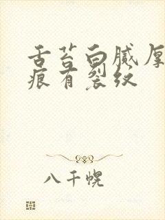 舌苔白腻厚有齿痕有裂纹