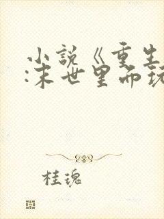 小说《重生囤货:末世里面玩嗨了》