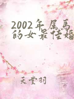 2002年属马的女最佳婚配